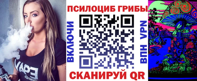Галлюциногенные грибы Cubensis  как найти закладки  Медынь 